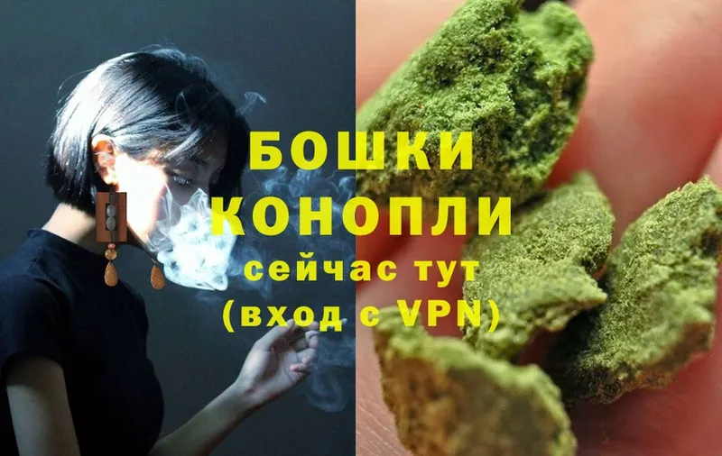 Бошки марихуана THC 21%  Саранск 